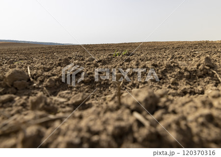 poor infertile soil in the field in the spring after plowing poor infertile soil in the field in the spring after plowing 120370316