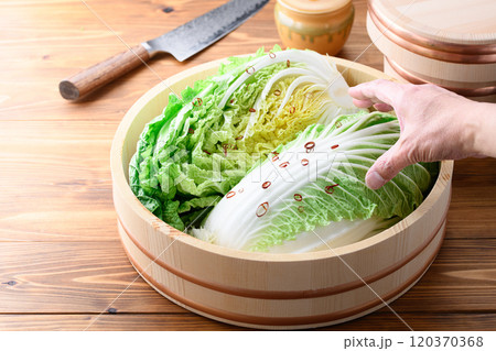 白菜を漬ける （ キムチを漬ける ） 120370368