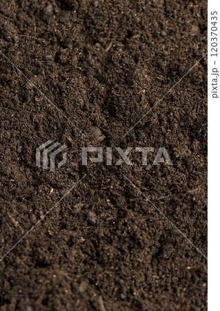 mixed soil with the addition of peat to increase fertility 120370435