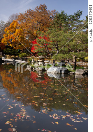 札幌中島公園の紅葉 札幌中島公園の紅葉 120370491