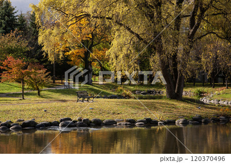 札幌中島公園の紅葉 札幌中島公園の紅葉 120370496