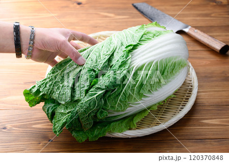 笊にのせた新鮮な冬の白菜 （ 木目背景 ） 120370848