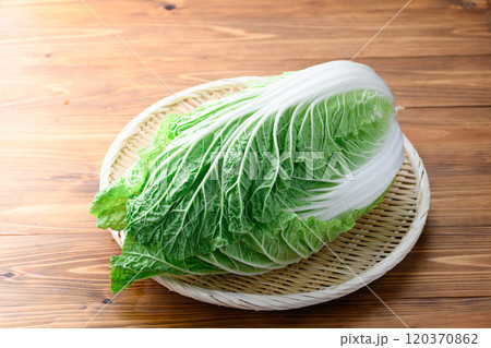 笊にのせた新鮮な冬の白菜 ( 木目背景 ) 笊にのせた新鮮な冬の白菜 ( 木目背景 ) 120370862