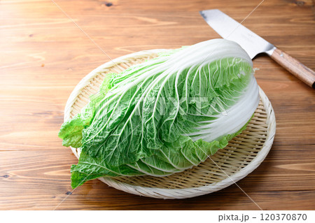 笊にのせた新鮮な冬の白菜 （ 木目背景 ） 120370870