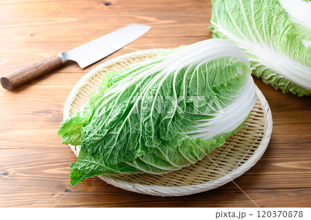 笊にのせた新鮮な冬の白菜 （ 木目背景 ） 120370878