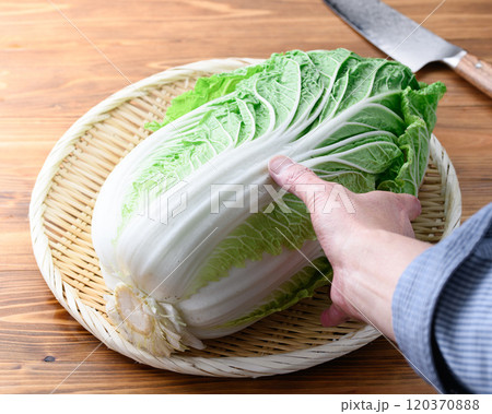 笊にのせた新鮮な冬の白菜 （ 木目背景 ） 120370888
