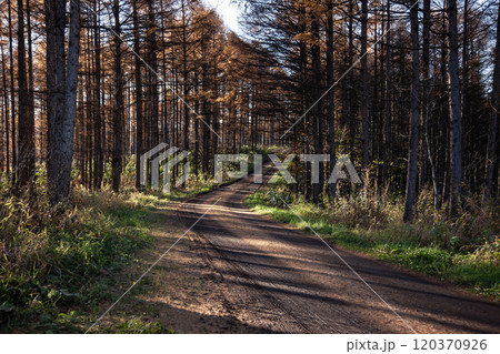 初冠雪の十勝岳連峰 120370926