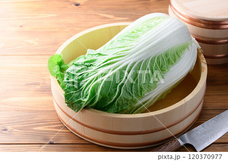 桶に入れた新鮮な冬の白菜 120370977