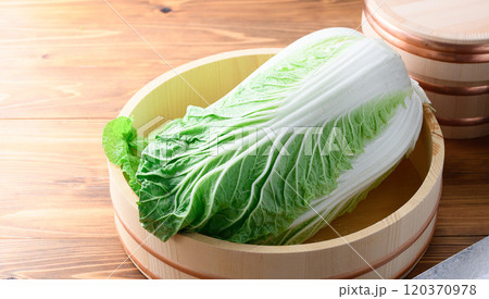 桶に入れた新鮮な冬の白菜 120370978