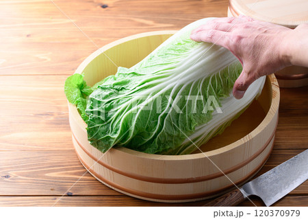 桶に入れた新鮮な冬の白菜 120370979