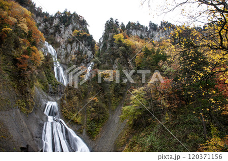 天人峡の羽衣の滝の紅葉 120371156