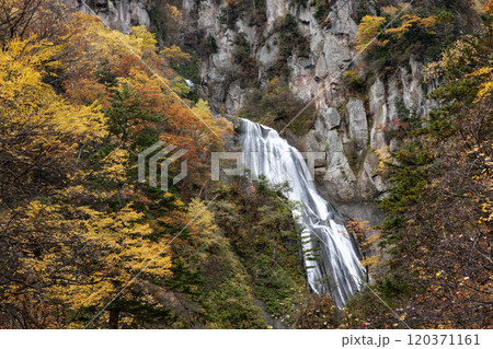 天人峡の羽衣の滝の紅葉 天人峡の羽衣の滝の紅葉 120371161