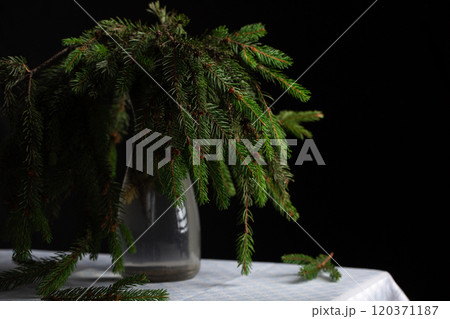 A transparent vase with green fluffy branches of a Christmas tree stands on the table 120371187