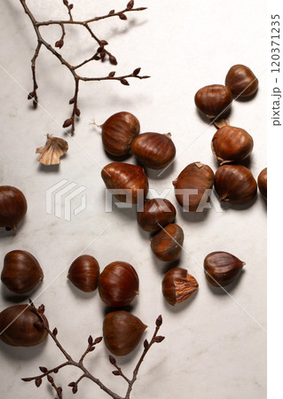 Fresh harvest of edible chestnuts scattered on a white table 120371235