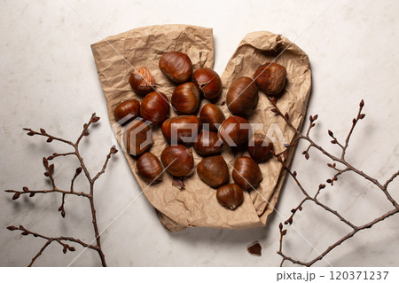 Fresh harvest of edible chestnuts scattered on a on kraft paper with tree branches Fresh harvest of edible chestnuts scattered on a on kraft paper with tree branches 120371237