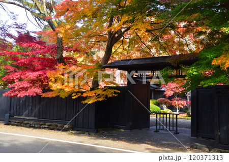 秋 城下町 角館 武家屋敷 秋 城下町 角館 武家屋敷 120371313