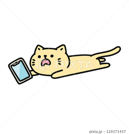 スマートフォンを持ったまま疲れて横になる猫 スマートフォンを持ったまま疲れて横になる猫 120371437