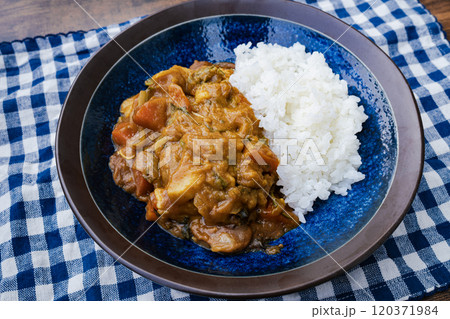 美味しそうな日本のカレーライス 美味しそうな日本のカレーライス 120371984