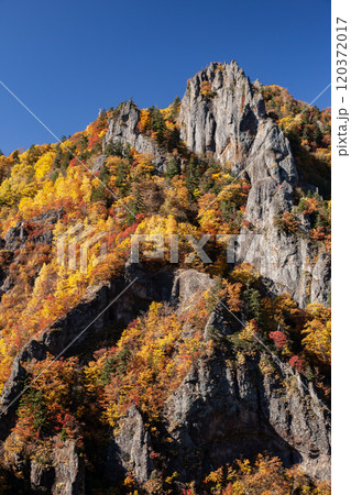 豊平峡の絶景紅葉 豊平峡の絶景紅葉 120372017