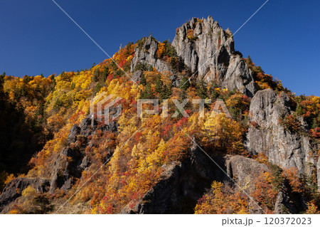 豊平峡の絶景紅葉 豊平峡の絶景紅葉 120372023