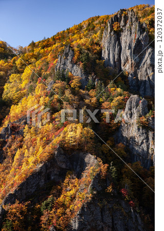 豊平峡の絶景紅葉 120372037