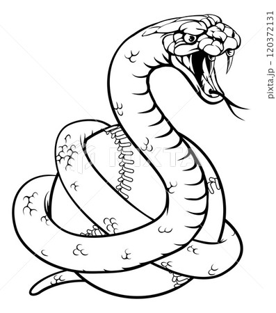 Snake Baseball Ball Animal Sports Team Mascot 120372131