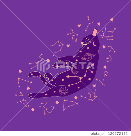 Mystical cat in boho style surrounded by stars, zodiac signs, balls, paw prints, silhouette collection. Esotericism and mysticism, occultism. Cartoon flat vector illustrations 120372153