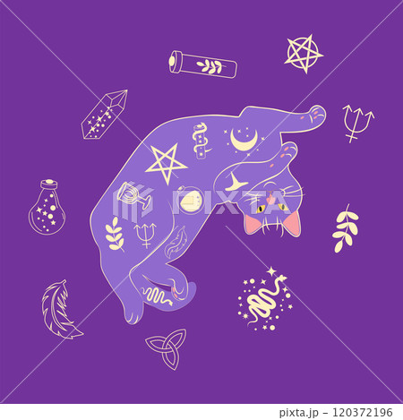 Mystical cat in boho style surrounded by stars, zodiac signs, balls, paw prints, silhouette collection. Esotericism and mysticism, occultism. Cartoon flat vector illustrations 120372196