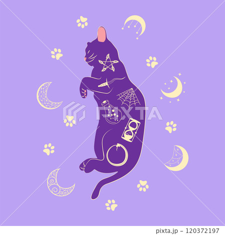 Mystical cat in boho style surrounded by stars, zodiac signs, balls, paw prints, silhouette collection. Esotericism and mysticism, occultism. Cartoon flat vector illustrations 120372197