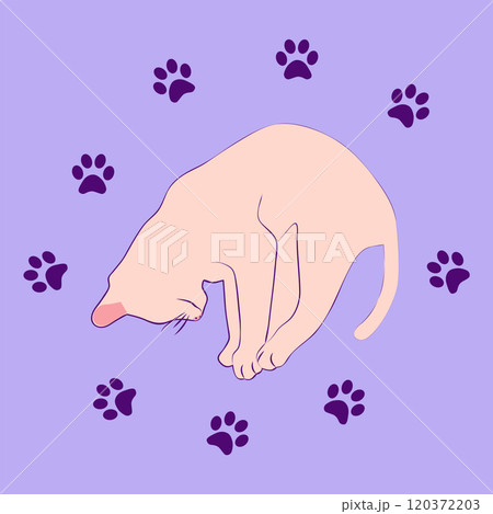 Mystical cat in boho style surrounded by stars, zodiac signs, balls, paw prints, silhouette collection. Esotericism and mysticism, occultism. Cartoon flat vector illustrations Mystical cat in boho style surrounded by stars, zodiac signs, balls, paw prints, silhouette collection. Esotericism and mysticism, occultism. Cartoon flat vector illustrations 120372203