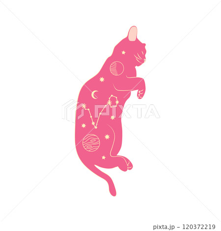 Mystical cats in boho style, silhouette collection. Esotericism and mysticism, occultism. Cartoon flat vector 120372219