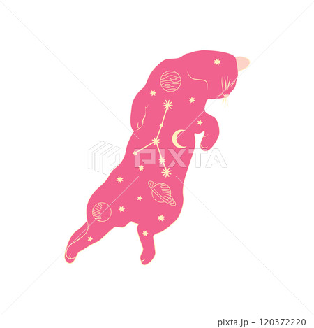 Mystical cats in boho style, silhouette collection. Esotericism and mysticism, occultism. Cartoon flat vector 120372220