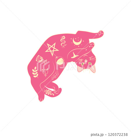 Mystical cats in boho style, silhouette collection. Esotericism and mysticism, occultism. Cartoon flat vector 120372238