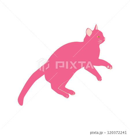 Mystical cats in boho style, silhouette collection. Esotericism and mysticism, occultism. Cartoon flat vector 120372241