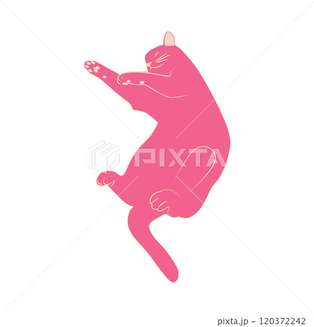 Mystical cats in boho style, silhouette collection. Esotericism and mysticism, occultism. Cartoon flat vector 120372242