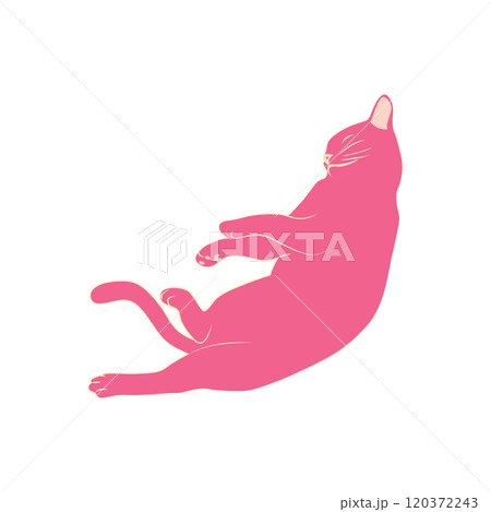 Mystical cats in boho style, silhouette collection. Esotericism and mysticism, occultism. Cartoon flat vector 120372243
