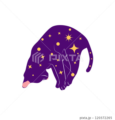 Mystical cats in boho style, silhouette collection. Esotericism and mysticism, occultism. Cartoon flat vector 120372265