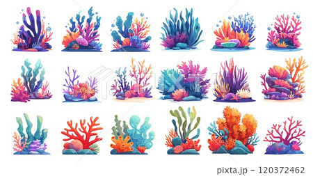 Cartoon sea algae. Underwater seaweed and corals, ocean plants stones aquarium decor, water nature elements set vector illustration 120372462