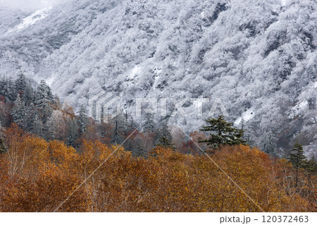 十勝岳の初雪と紅葉 十勝岳の初雪と紅葉 120372463