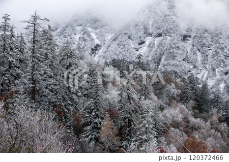 十勝岳の初雪と紅葉 十勝岳の初雪と紅葉 120372466