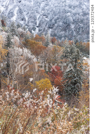 十勝岳の初雪と紅葉 十勝岳の初雪と紅葉 120372484