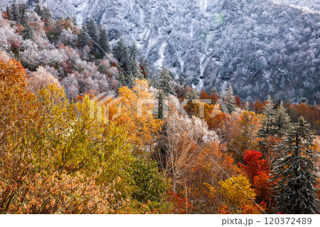 十勝岳の初雪と紅葉 十勝岳の初雪と紅葉 120372489