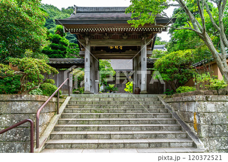 【神奈川県】豊かな自然に囲まれた鎌倉の成就院 120372521