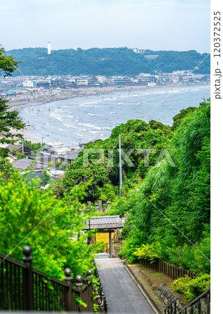 【神奈川県】鎌倉の成就院から見える由比ヶ浜の海 120372525