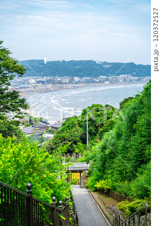 【神奈川県】鎌倉の成就院から見える由比ヶ浜の海 120372527