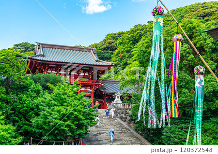 【神奈川県】豊かな自然に恵まれた鶴岡八幡宮と七夕飾り 120372548