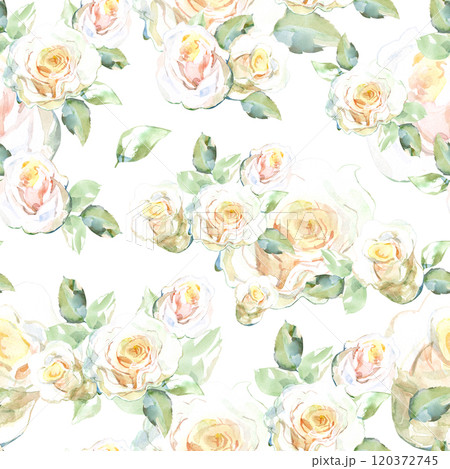 Seamless pattern of white roses bouquets with green leaves in collection garden flowers. Watercolor illustration for floral design of fabrics, kitchen towel, textiles, weaving, wallpaper, wrapping 120372745