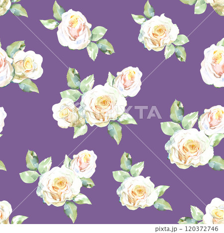 Seamless pattern of white roses bouquets with green leaves in collection garden flowers. Watercolor illustration for floral design of fabrics, kitchen towel, textile, weaving, wallpaper, wrapping Seamless pattern of white roses bouquets with green leaves in collection garden flowers. Watercolor illustration for floral design of fabrics, kitchen towel, textile, weaving, wallpaper, wrapping 120372746