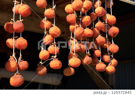 軒先に吊るされた干し柿 120372845