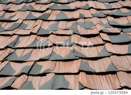 Various roof types showcasing detailed construction techniques.AI Generated Various roof types showcasing detailed construction techniques.AI Generated 120373084